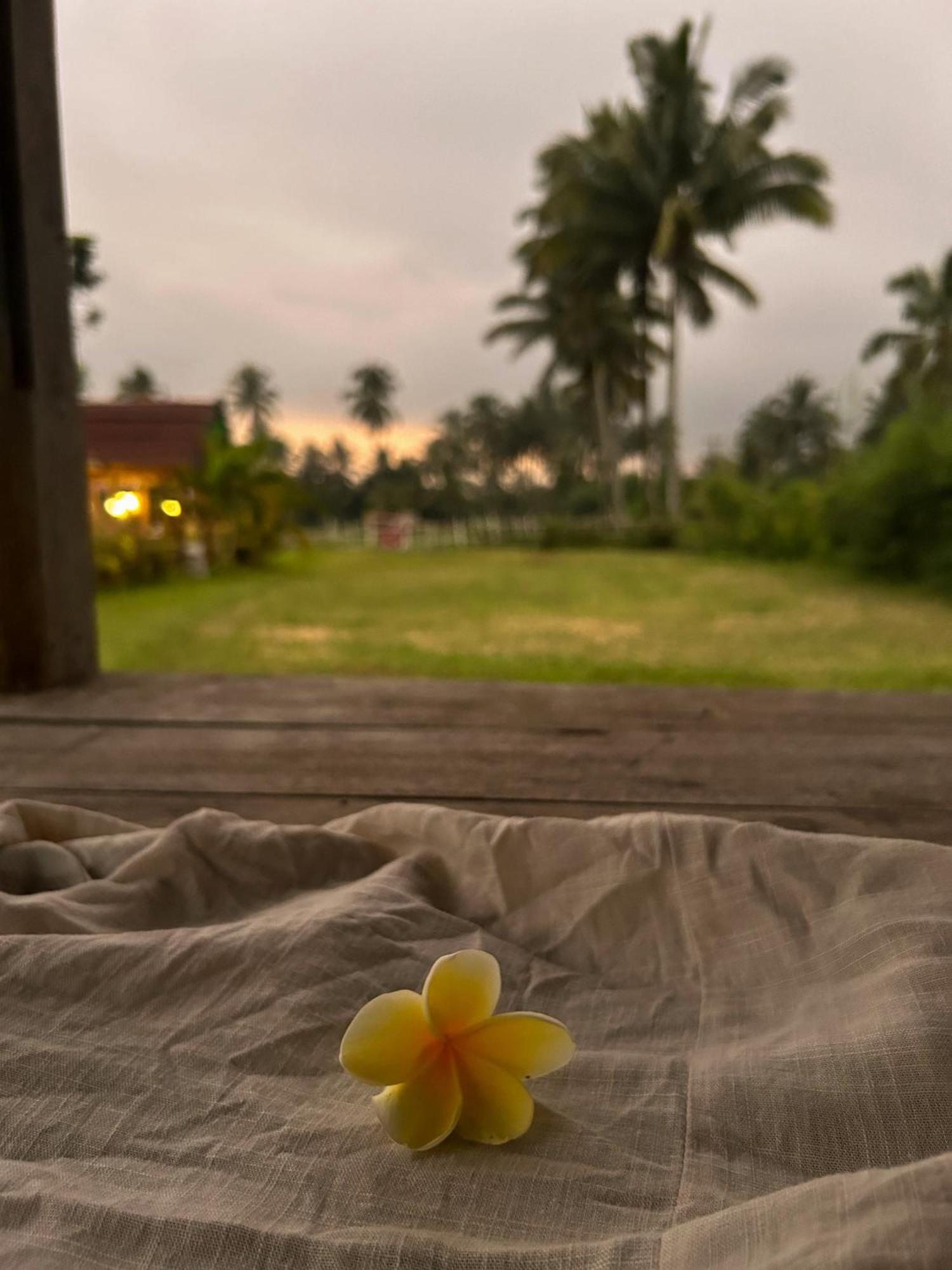 Linkgreen Homestay Lombok เตเตบาตู ภายนอก รูปภาพ