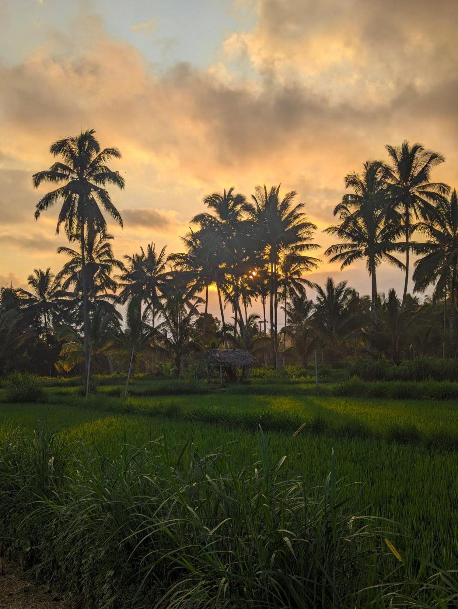 Linkgreen Homestay Lombok เตเตบาตู ภายนอก รูปภาพ